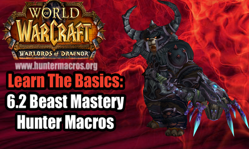 BM Hunter 6.2 Macros