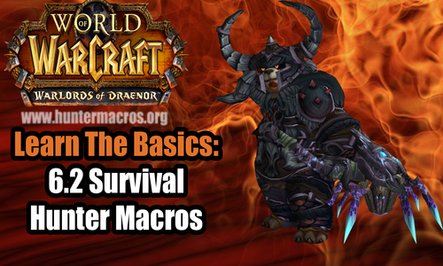 Survival Hunter 6.2 Macros